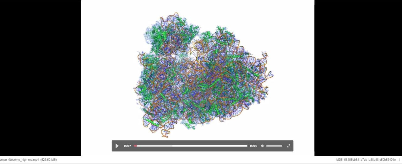 The breadth and variety of research data